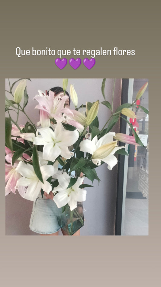 Suscripción de Lili aromática (2 veces al mes)